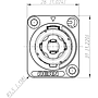 Rean - Conector de 4 Polos para Chasis de Montaje Mod.RLS4MPZ _5